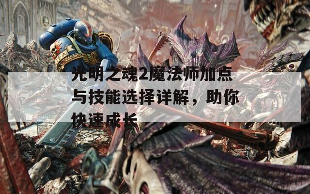 光明之魂2魔法师加点与技能选择详解，助你快速成长