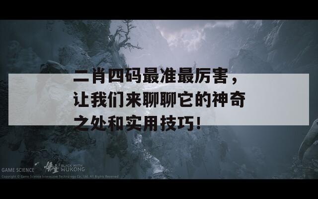 二肖四码最准最厉害，让我们来聊聊它的神奇之处和实用技巧！