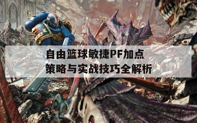 自由篮球敏捷PF加点策略与实战技巧全解析