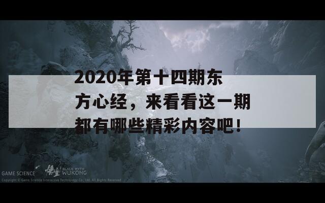 2020年第十四期东方心经，来看看这一期都有哪些精彩内容吧！