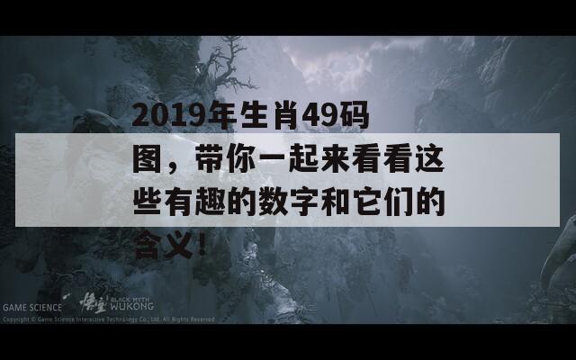 2019年生肖49码图，带你一起来看看这些有趣的数字和它们的含义！