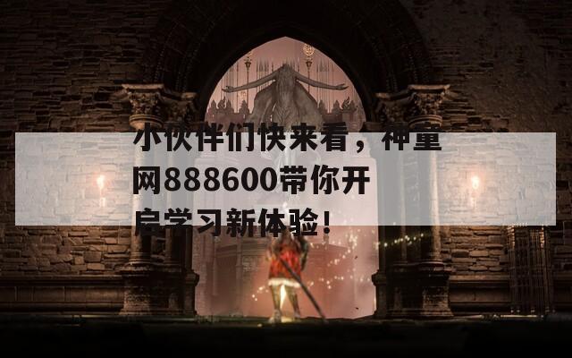 小伙伴们快来看，神童网888600带你开启学习新体验！