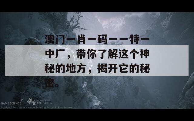 澳门一肖一码一一特一中厂，带你了解这个神秘的地方，揭开它的秘密。