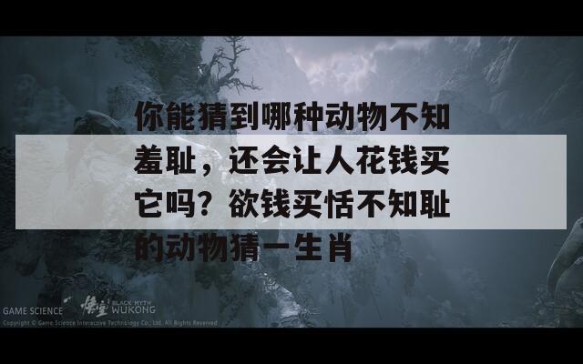 你能猜到哪种动物不知羞耻，还会让人花钱买它吗？欲钱买恬不知耻的动物猜一生肖