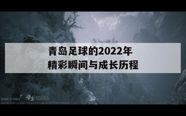 青岛足球的2022年精彩瞬间与成长历程