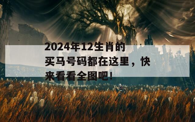 2024年12生肖的买马号码都在这里，快来看看全图吧！