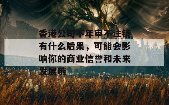 香港公司不年审不注销有什么后果，可能会影响你的商业信誉和未来发展哦