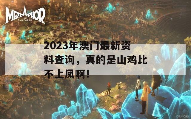 2023年澳门最新资料查询，真的是山鸡比不上凤啊！